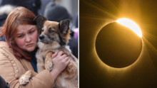 El eclipse de Sol también afectará a tu mascota: los comportamientos fuera de lo común que tendrá