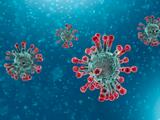 ¿El coronavirus afecta menos a los niños? Un estudio lo aclara
