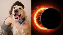 Estrés y falta de apetito, así puede afectar el eclipse solar a tu mascota
