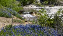 Escápate a este parque estatal que esconde un manantial de agua cristalina en el norte de Texas