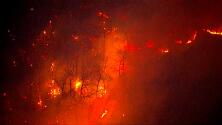 Incendio en Parque Nacional Shenandoah: cientos de acres consumidos