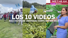 Los 10 videos más vistos de Univision Tampa Bay en 2023