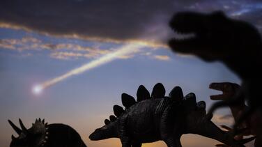 Los dinosaurios se extinguieron en un invierno de 15 años causado por el polvo del asteroide que impactó contra la Tierra