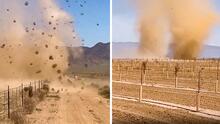 Captan dos remolinos de polvo en un campo agrícola al noroeste de Arizona