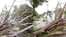 Árboles y cables caídos: se agrava el panorama en los Cayos de Florida por el impacto del huracán Ian