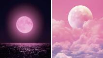 ¿Qué es la ‘Luna Rosa’ de abril que iluminará el cielo y cómo verla?