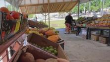 Fuerte impacto de la inflación en Tampa: ¿cómo afecta a los comerciantes locales?