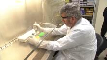 Galveston researchers working on a possible coronavirus vaccine