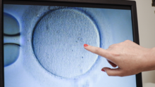'Los embriones congelados son niños': fallo causa alarma en parejas con problemas de fertilidad y clínicas de FIV