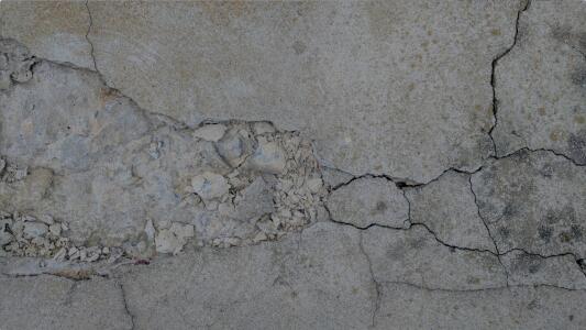 El hongo que ayuda a regenerar el cemento