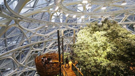 En Video: Amazon abre una 'selva' para sus empleados en Seattle