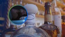 Gotas milagrosas: Científicos descubren nueva forma de prevenir una cruda tras beber alcohol en exceso