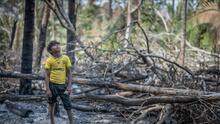 Amazonas, crónica gráfica de destrucción y resistencia en tierra karipuna en Brasil