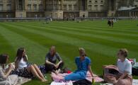 Por primera vez, el Palacio de Buckingham permite la entrada a visitantes a sus jardines