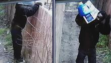 Una madre de familia de Oak Cliff denuncia que un sospechoso entró a su casa y se robó su detergente