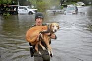 Un perro es rescatado por elementos de emergencia tras una inundación en el área de Orlando.