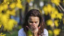Inicia la temporada de alergias: 11 datos que debes saber si sufres con los altos niveles de polen