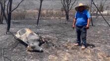 Las imágenes más impactantes de los incendios en México