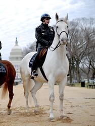 Two horse-mounted park policewomen patrol along the Mall as preparations continue for the second inauguration of US President Barack Obama in Washington, DC, on January 17, 2013. Obama faces a near impossible task in his second inaugural address on January 21, uniting a nation in which the compromise that oils governing is crushed by deep political divides. Before a crowd of thousands and the eyes of the world on television and online, Obama will stand on the West Front of the US Capitol and swear to faithfully execute the office of president and defend the Constitution. AFP PHOTO/Jewel Samad (Photo credit should read JEWEL SAMAD/AFP via Getty Images)