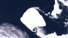 El iceberg más grande del mundo vuelve a moverse después de décadas. ¿Adónde va? ¿Es peligroso?