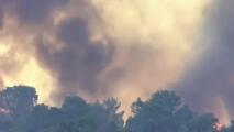 Estudio revela el impacto a la salud de la llamada "neblina amarilla" en los fuegos forestales