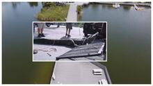 Retiran dos enormes caimanes de un parque de Florida