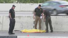Peatón muere atropellado cuando intentaba cruzar la la autopista 281