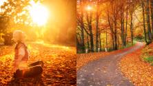 5 datos curiosos que seguramente no sabías del otoño