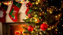 Anuncian recolección de árboles navideños en Stockton; esto debes saber
