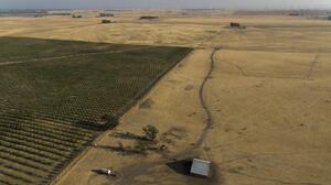 Nueva ciudad en California: millonarios impulsan iniciativa electoral para su construcción en tierras agrícolas