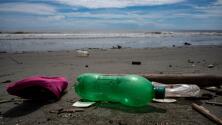 Conoce todos los daños ambientales que genera el plástico en el planeta Tierra