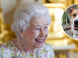 Los perros de la reina Isabel II ya tienen nuevos dueños: ellos se harán cargo de los corgis