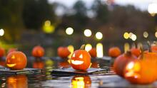 Celebra Halloween en Central Park con la "Gran flotilla de calabazas"