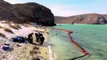 De turquesa a negro: un derrame de combustible contaminó una famosa playa en Baja California Sur