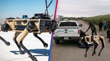 Perros robots patrullarían la frontera en la lucha de EEUU contra las drogas y la inmigración ilegal