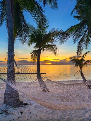 Tropical paradise beach at sunset with hammock