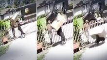  “Es desgarrador”: video muestra momento en que un repartidor de UPS deja caer pesado paquete sobre un perro en Miami
