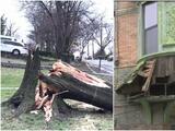 Torrenciales lluvias dejan escombros y apagones en el área triestatal; mujer murió tras caerle un árbol