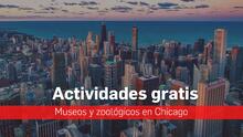 Actividades gratis en Chicago: la lista completa de los días sin costo en museos y zoológicos 