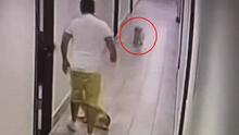 "Me parece cruel": graban a un hombre maltratando a dos perros dentro de un edificio en Nueva York