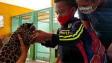 Acariciar serpientes y jaguares: la exótica terapia para estos niños con discapacidad