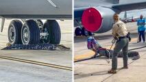 Descubren un caimán de 10 pies bajo un avión en pista de la Base Aérea MacDill, en Tampa