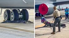 “Un aviador con muchos colmillos”: Captan caimán bajo un avión de la Fuerza Aérea en Florida